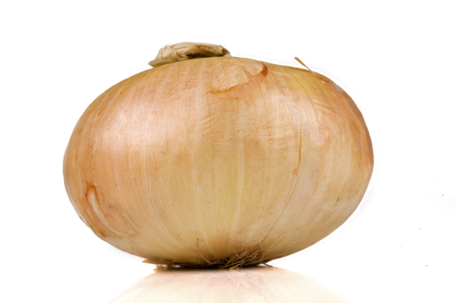 Vidalia sweet onion