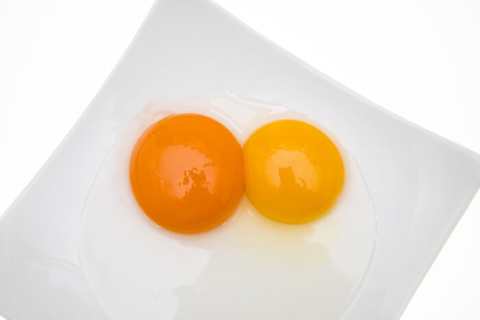 Duck Eggs Vs. Chicken Eggs: What’s The Difference?