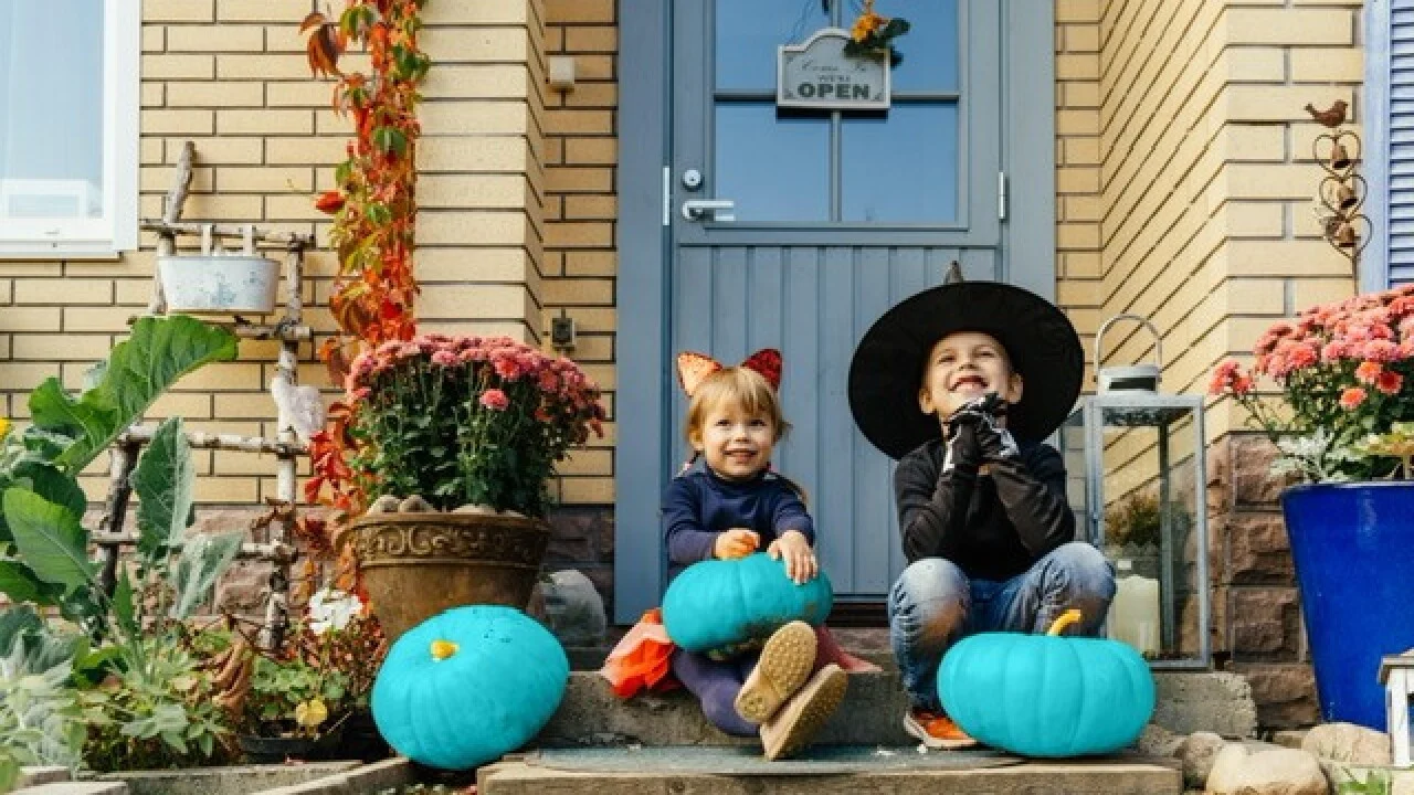 Teal Pumpkin Project Helps Kids With Food Allergies Stay Safe While Trick-Or-Treating