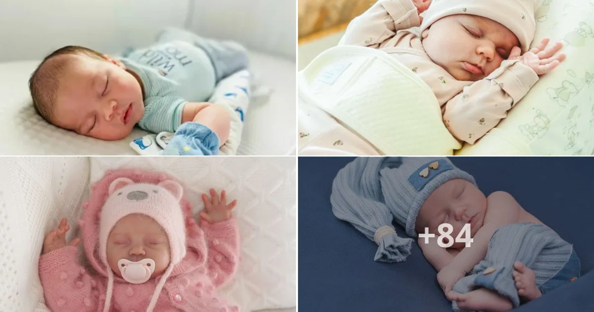 A very cute set of photos Let’s see cute pictures of sleeping babies